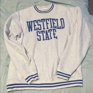 Champion Gray and Blue Crewneck Sweater